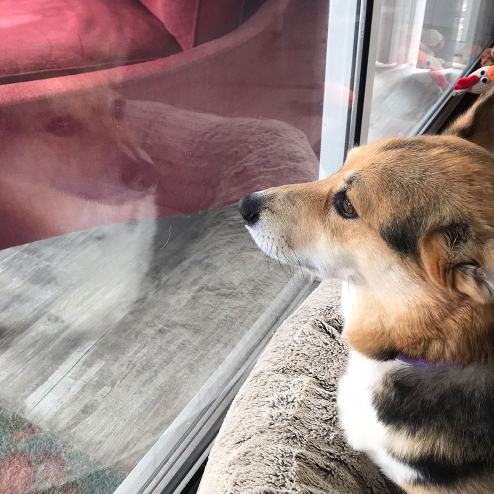 Meet your Posher, Timothee